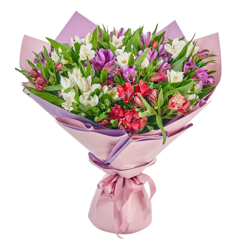 Bouquet of 25 colorful alstroemerias in a package, standart