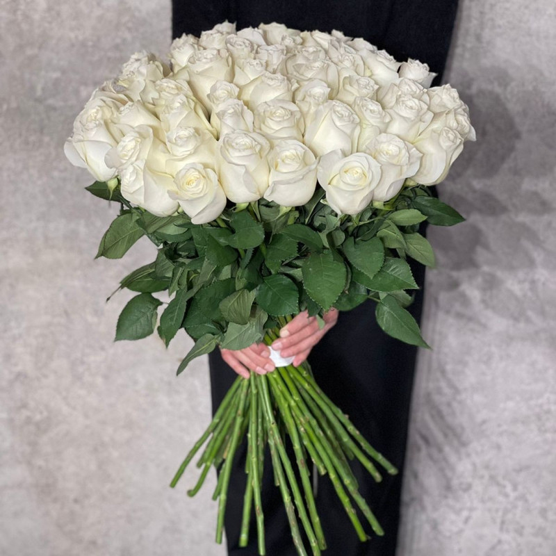 45 white roses, standart