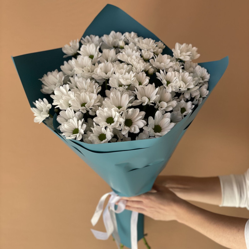 white chrysanthemums, standart