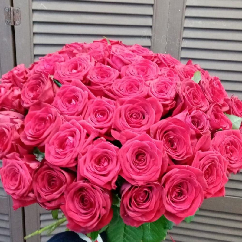 51 roses 50 cm per ribbon, standart