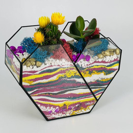 Florarium honeycomb with plants
