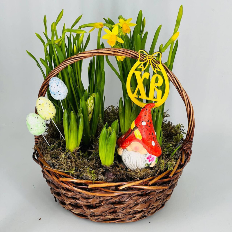 Easter gift basket of spring primroses, standart