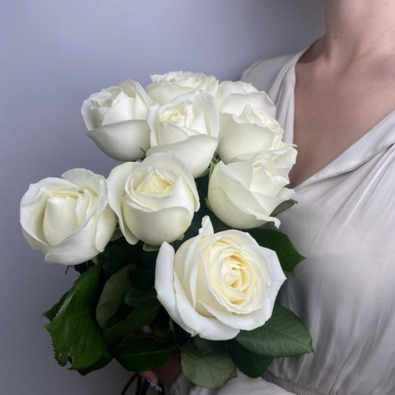 букет из белых роз, стандартный