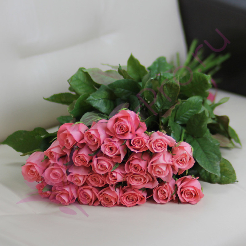 25 pink roses Anna Karina 60 cm, standart