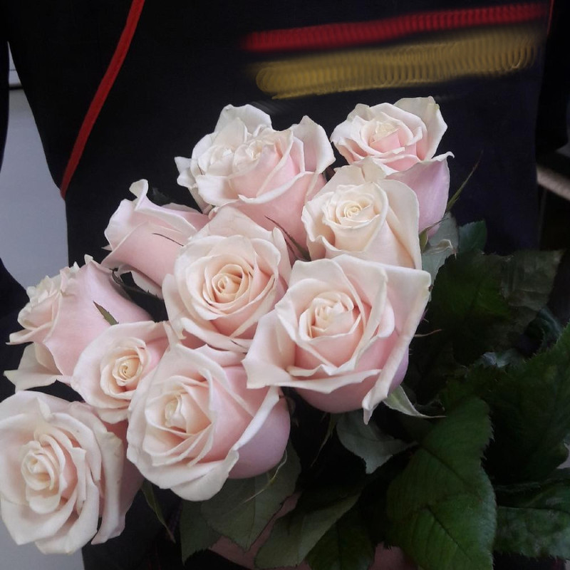 Bouquet of 11 tea roses, standart