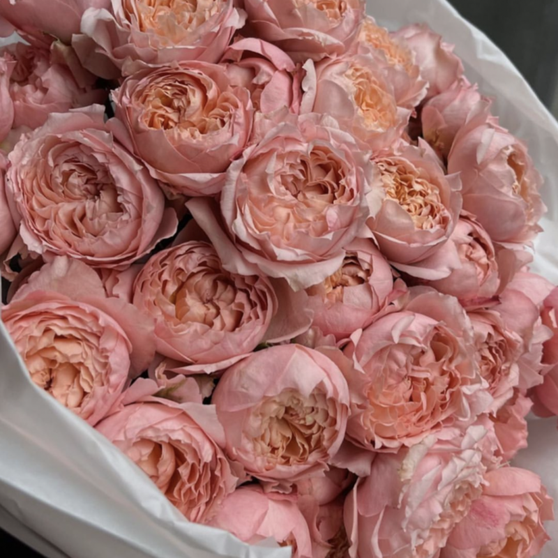 Букет из кустовых пионовидных роз Джульетта, мини