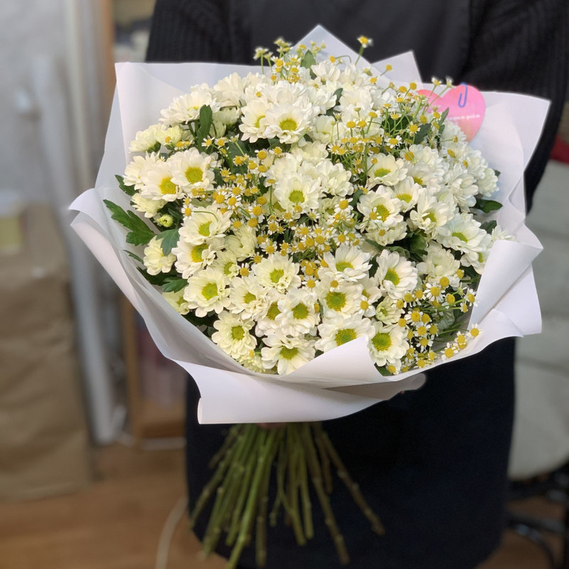 Bouquet of fragrant daisies, standart