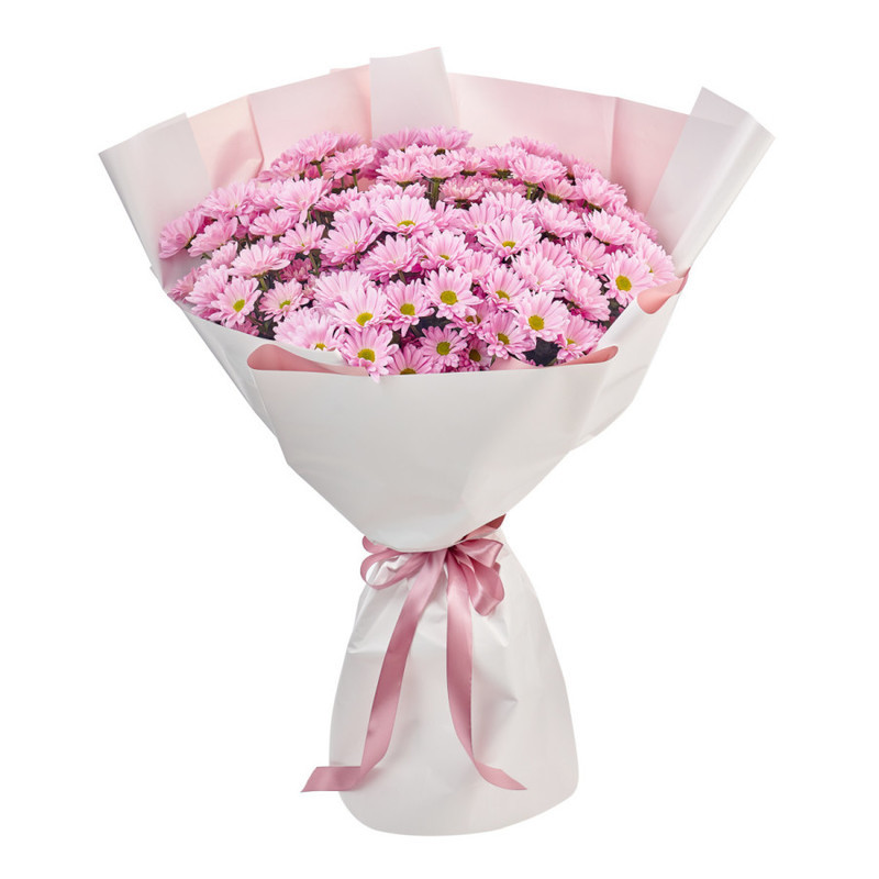 Bouquet of 15 pink chamomile chrysanthemums in a package, standart