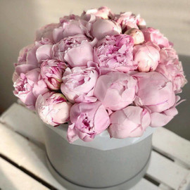 Pink peonies in a hatbox