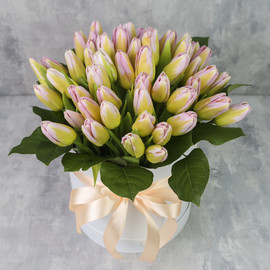 Коробка из 51 тюльпана «Нежно-розовые тюльпаны»