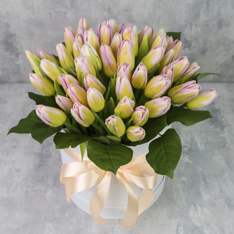 Box of 51 tulips "Pale pink tulips", standart