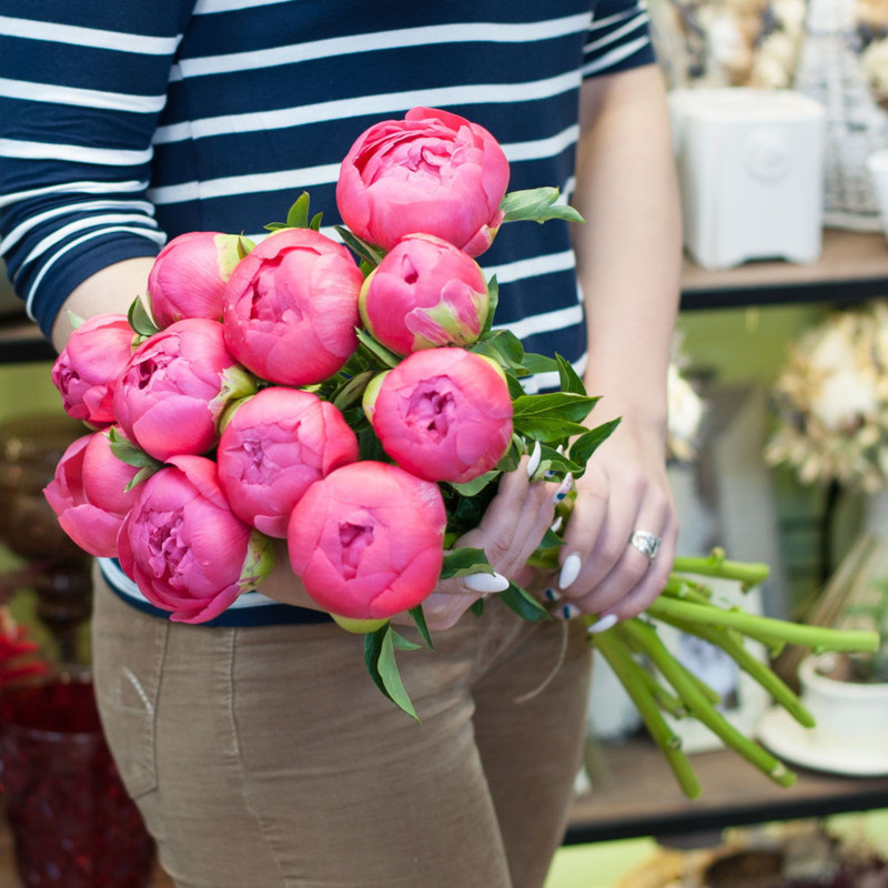 Bouquet of peonies "Coral Charm", standart