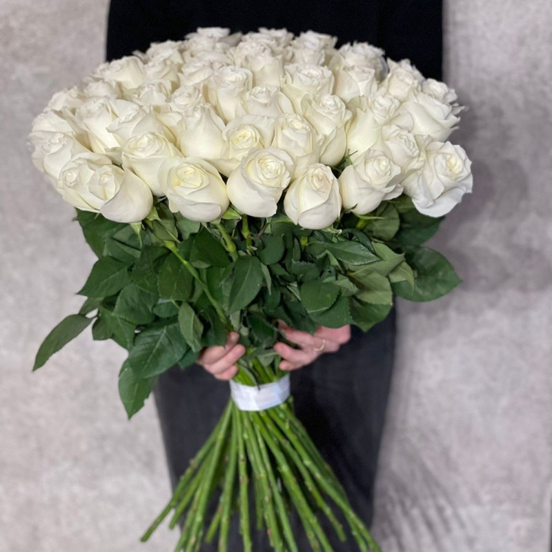 65 White roses, standart