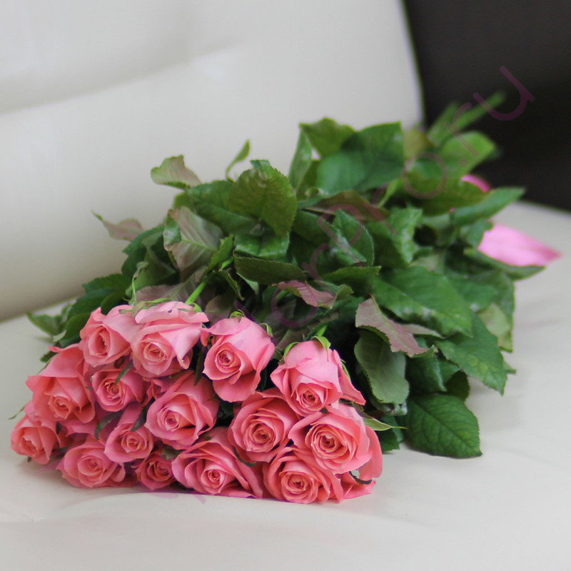 15 розовых роз Анна Карина 60 см, стандартный