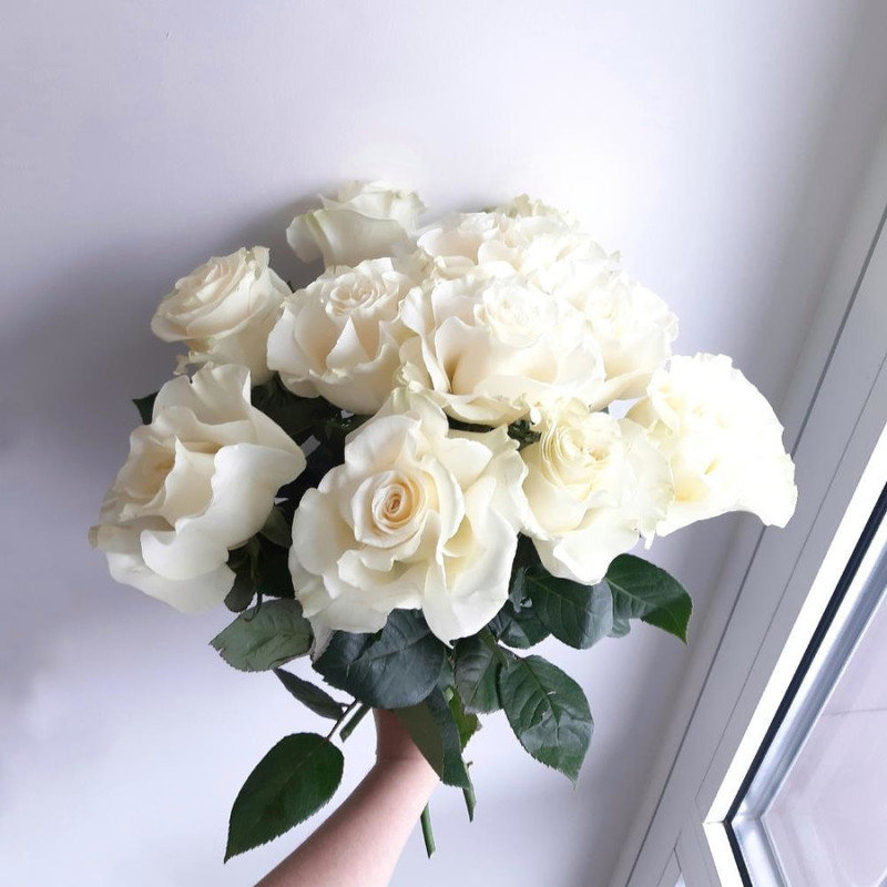 White Rose, standart