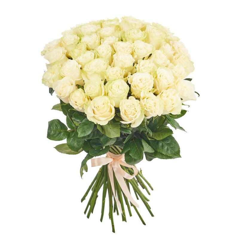 Bouquet of 51 white roses, standart