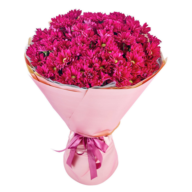 Bouquet of 15 purple chamomile chrysanthemums in a package, standart