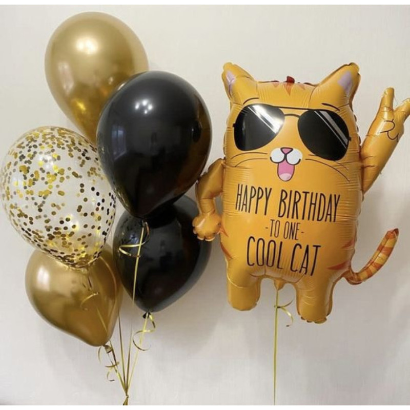 Composition "Cat, Happy Birthday", standart