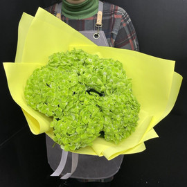 Bouquet of hydrangea "Limoncello"