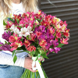 Bouquet of alstroemerias