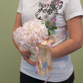 Коробка с цветами "Нежно-розовая гортензия"
