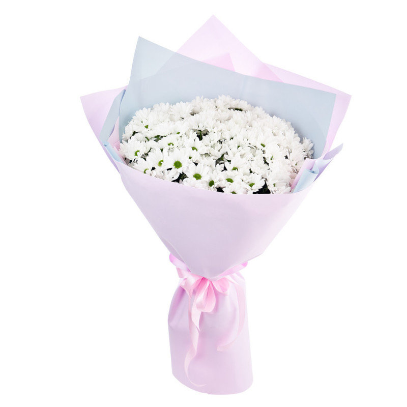 Bouquet of 25 white chamomile chrysanthemums in a package, standart