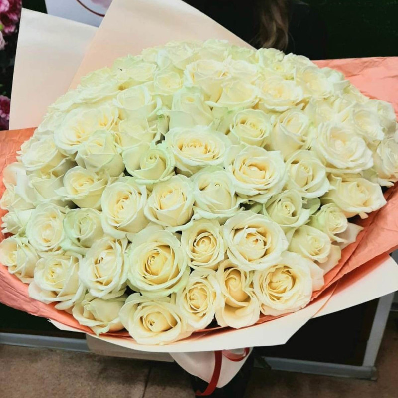 55 white roses, standart