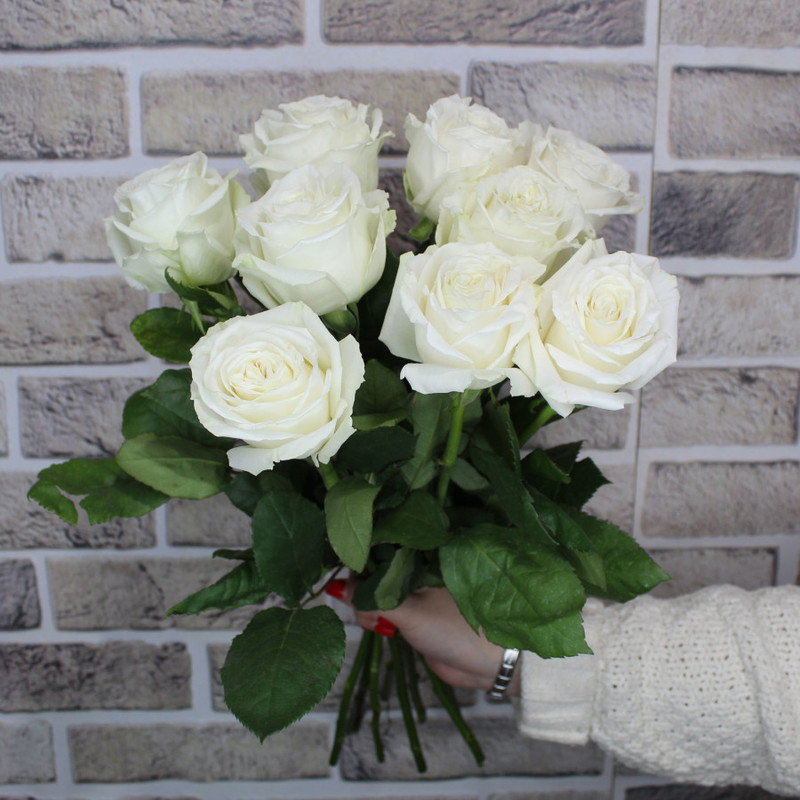 Bouquet of 9 White peony roses, standart