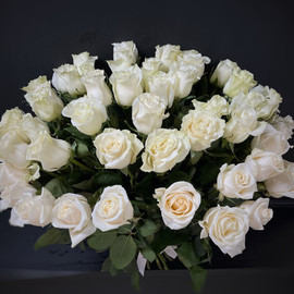 Букет из 51 белой розы (код 17)
