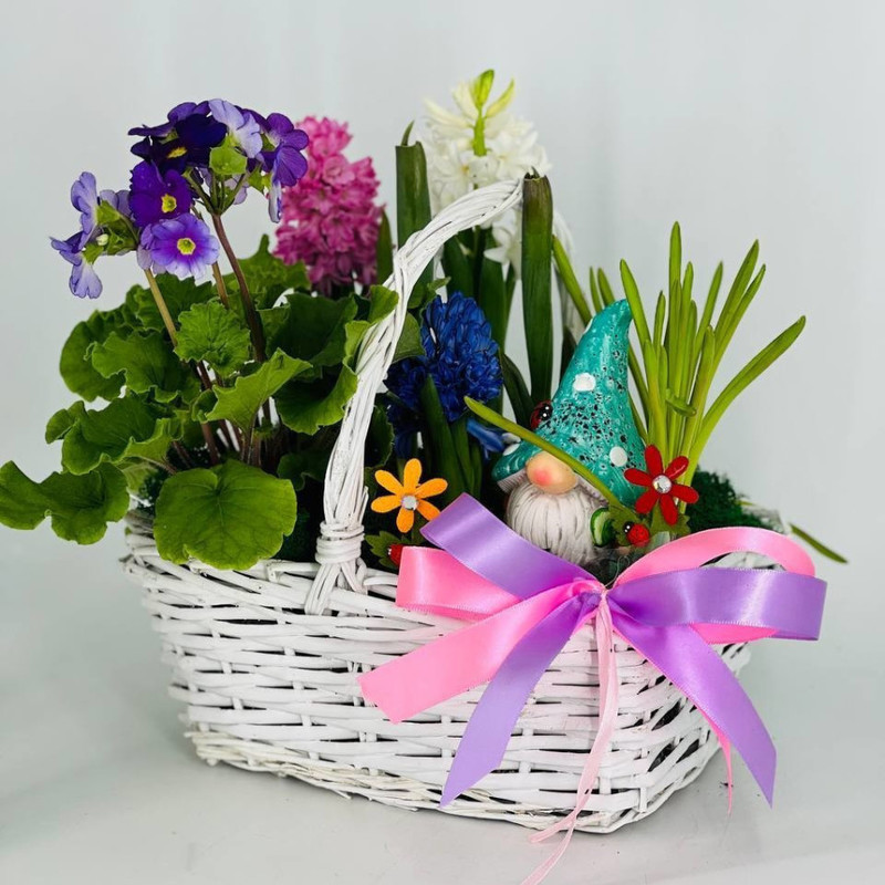 Basket with primroses for Easter, standart