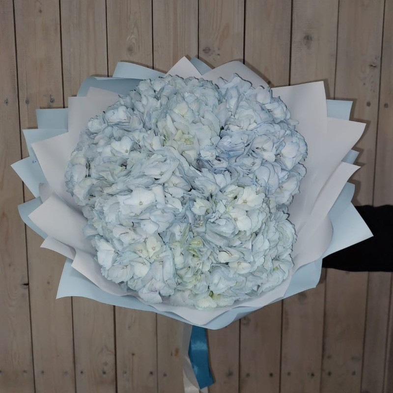 Bouquet of 5 blue hydrangeas, standart