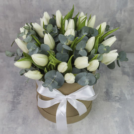 Box with tulips "25 white tulips with eucalyptus"