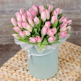 Pink tulips in a hat box