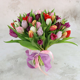 Bouquet of 51 colorful tulips