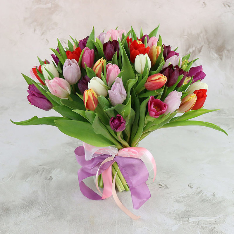 Bouquet of 51 colorful tulips, standart