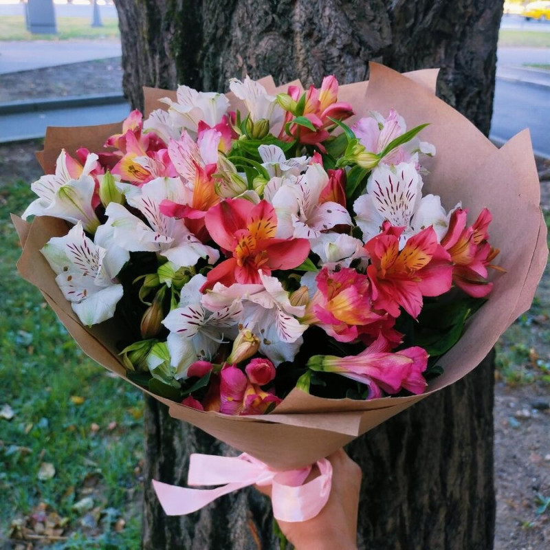 Bouquet of 11 alstroemeria mix in designer decoration 50 cm, standart