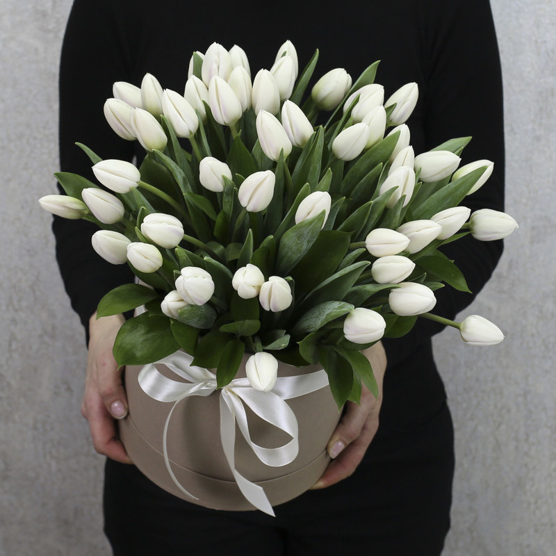 51 white tulips in a box, standart