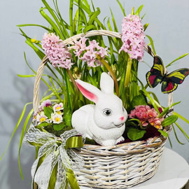 Подарочная корзина с первоцветами и кроликом