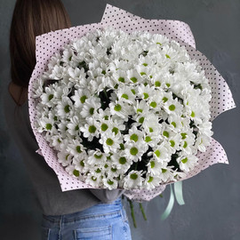 Big bouquet of daisies