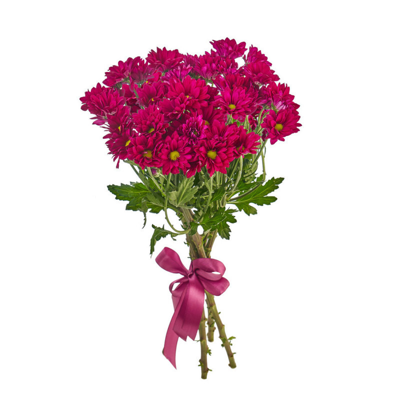 Bouquet of 5 purple spray chrysanthemums, standart