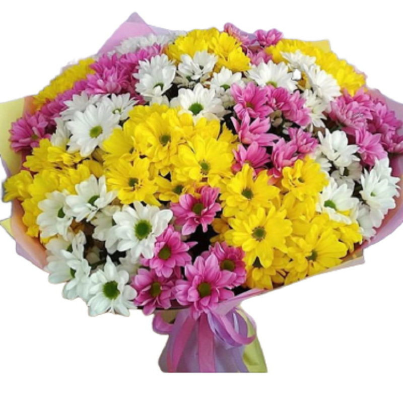 Bouquet of 19 spray chrysanthemums, standart