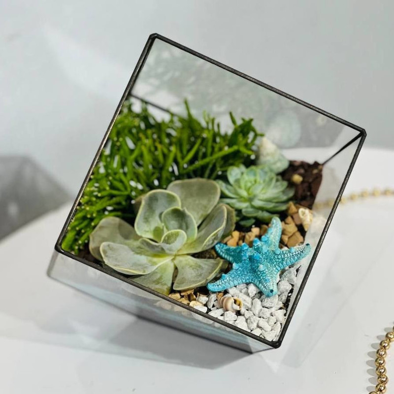 Glass florarium with succulents, standart
