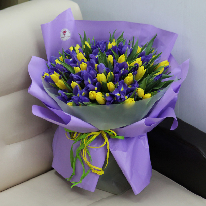 101 yellow tulip and blue iris, standart