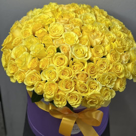 101 желтая роза в шляпной коробке