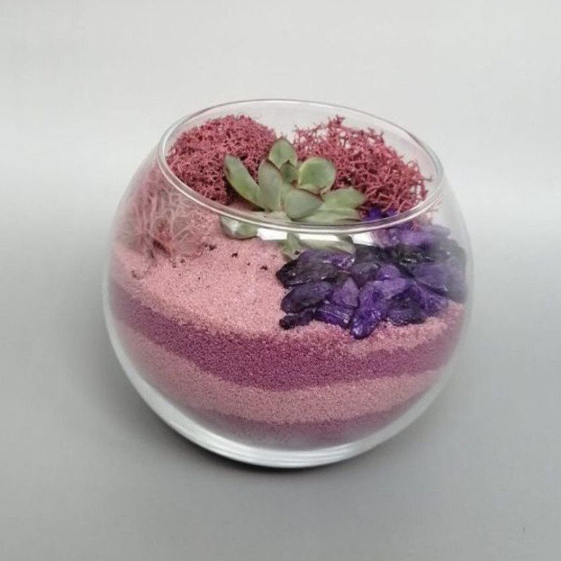 Florarium with colored sand and succulents, standart