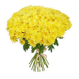 Bouquet of 25 yellow spray chrysanthemums