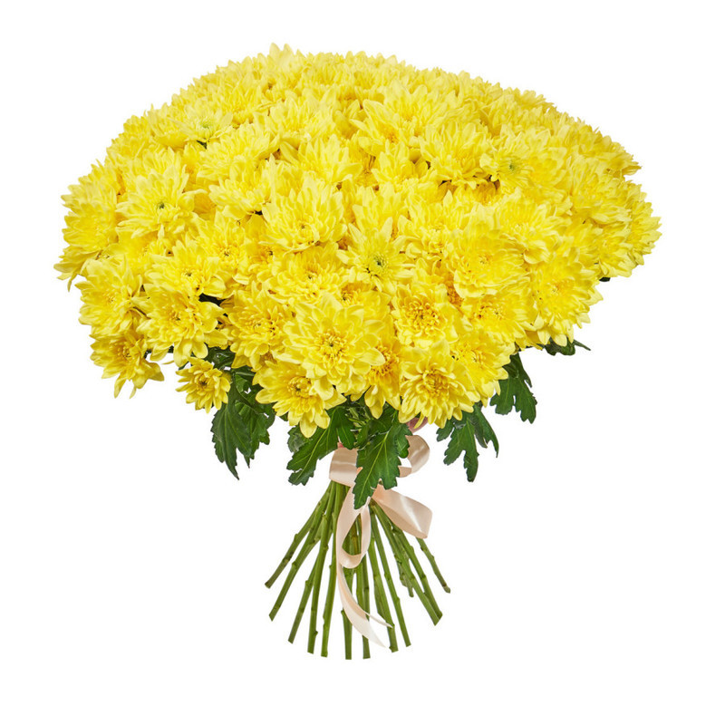 Букет из 25 желтых кустовых хризантем, стандартный