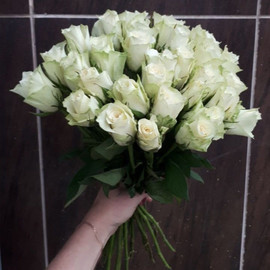 Белые Розы