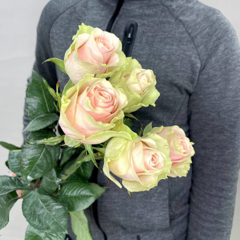 Bouquet of 5 roses Ecuador, standart