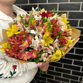 Bouquet of 25 alstroemeria mix craft
